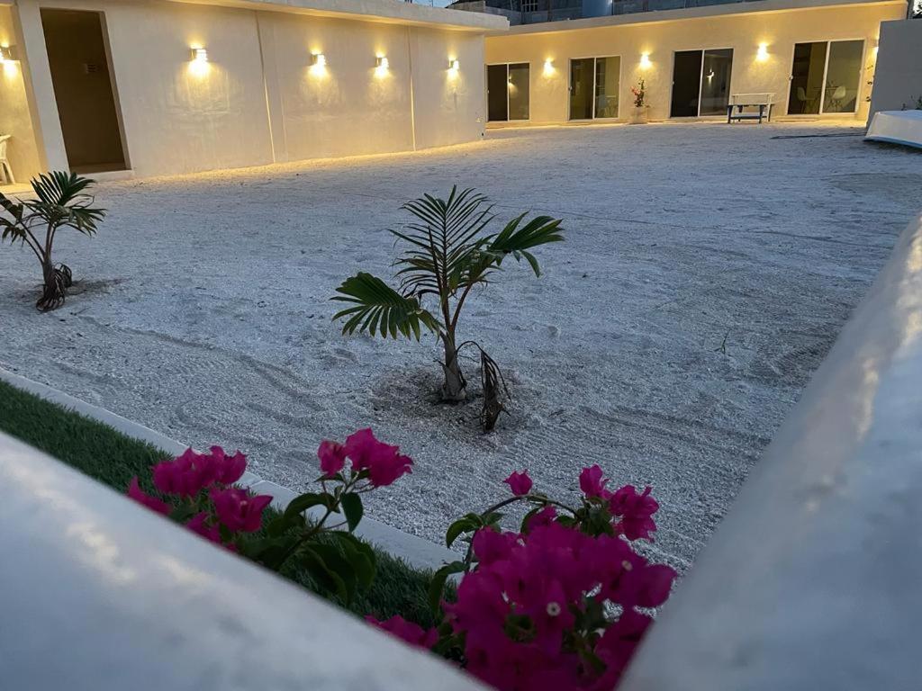Palomar Villas Río Lagartos Kültér fotó